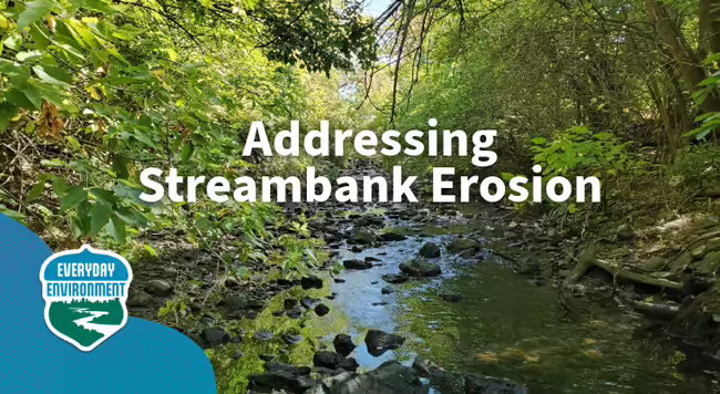 addressing streambank erosion