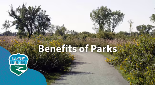 benefits of park
