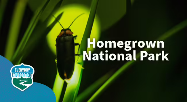 homegrown national park