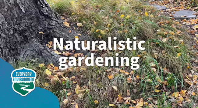 naturalistic gardening