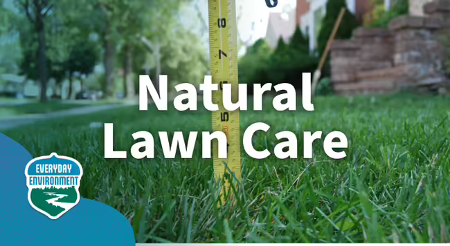 Natural Lawn Care