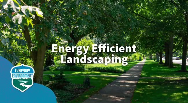 Energy Efficient Landscaping