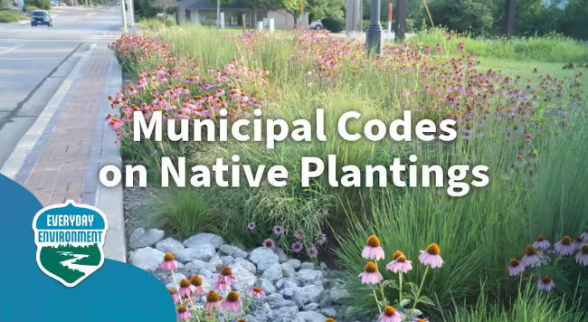 municipal codes on native plantings