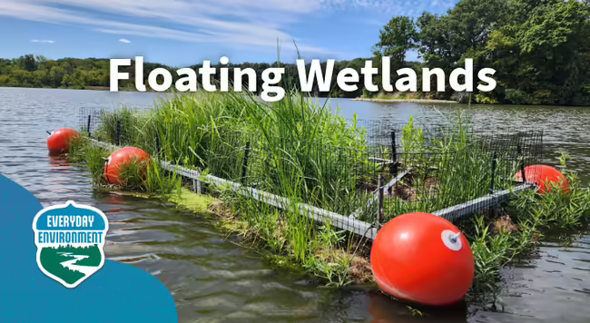 Floating wetlands