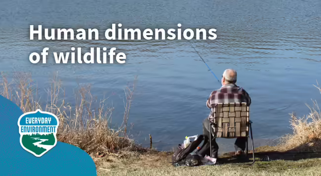 A man facing away sits in a lawn chair fishing on the water's edge