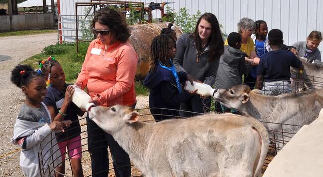 Extension Educator with students at a farm with animals