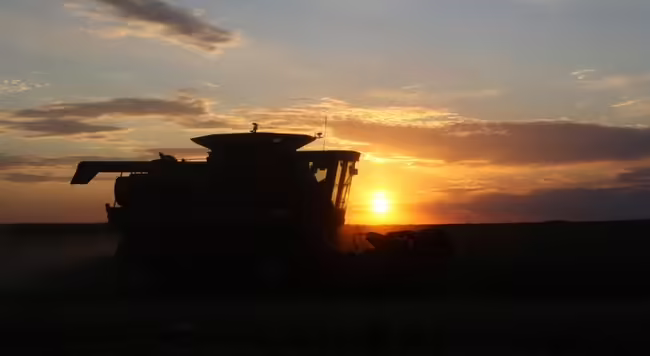 Setting sun and clouds behind a combine in a farm field during harvest.