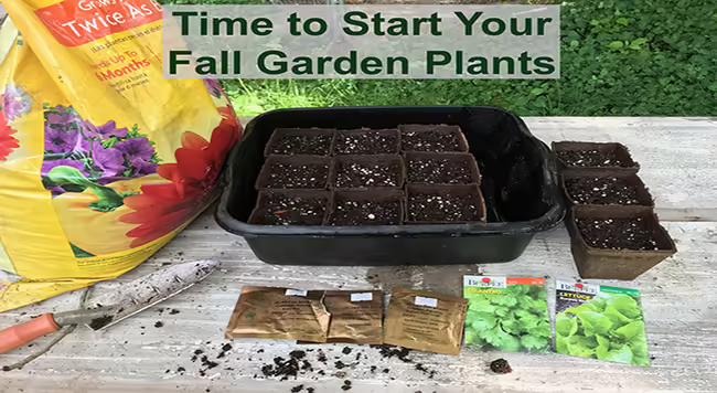 Bag of potting soil with planer next to it