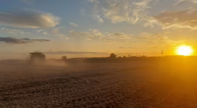 A combine moves across a dusty harvested field with clouds & setting sun in background.