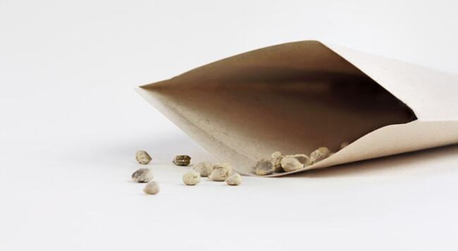 seeds in blank packet