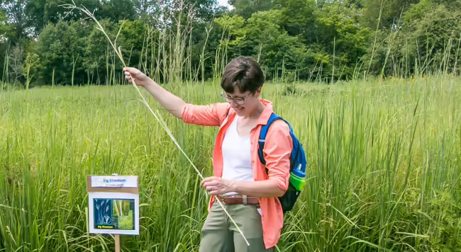 woman standing in a field holding a grass