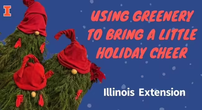 Using Greenery to Bring a Little Holiday Cheer