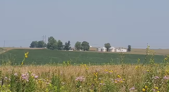 Beautiful native wildflowers bloom in the foreground, and a family farm with mature trees are visible in the background.