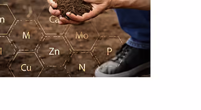 A man's hands and foot are visible as he kneels and sifts through soil.  Chemical symbols like P-Phosphorus and K-Potassium are layered onto the soil image.
