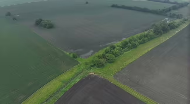 Aerial shot of 4 farm fields intersecting with trees and greens at the center.
