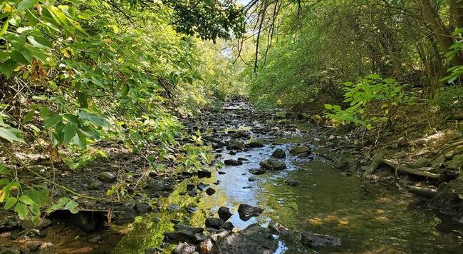 Indian Creek in northern illinois