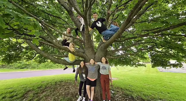 Several kids standing around and in a tree