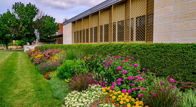 Colorful mixed landscape bed next to a building