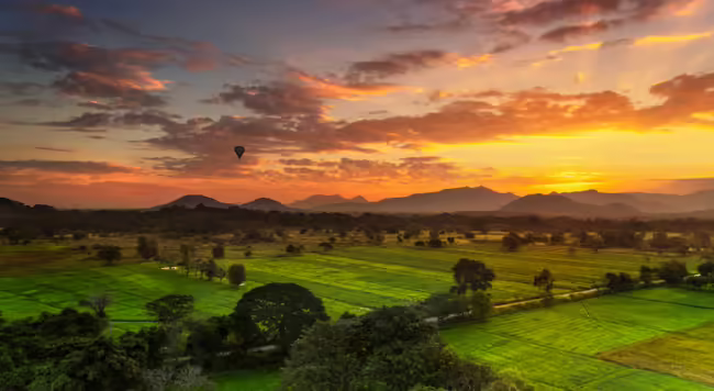 Field with sunset