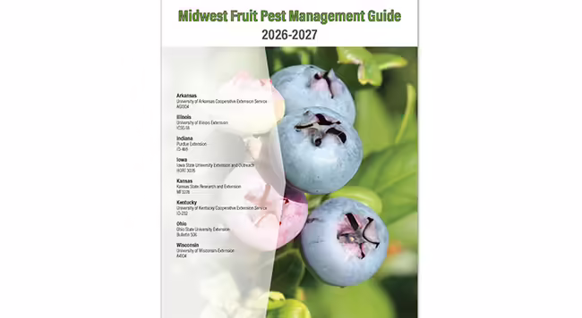 A close-up of a blueberry on the cover of a midwest fruit pest management guide publication