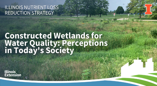 Constructed wetland next to a walking path