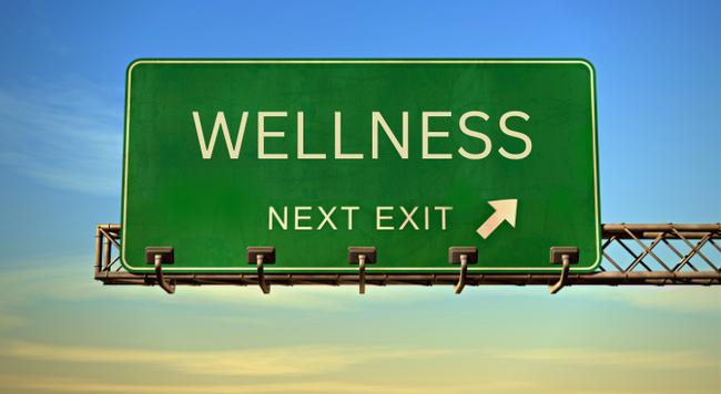 Sign that says Wellness next exit