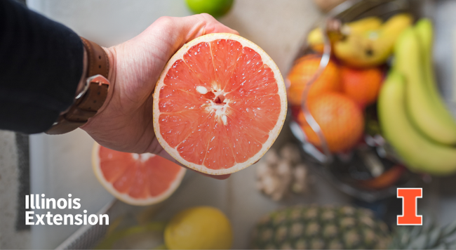 Image of hand holding a sliced grapefruit