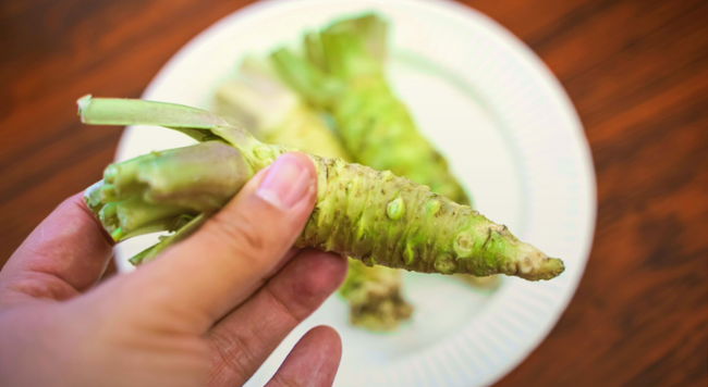 Image of a hand holding a wasabi plant with a table and plate of wasabi blurred in the background