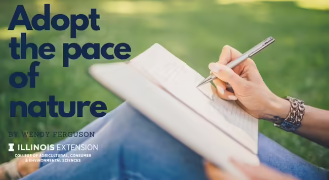 lady journaling outside in a notebook