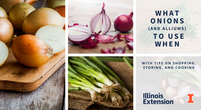 What Onions (and Alliums) to Use When