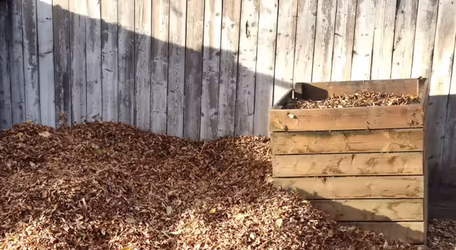 Leaves piled up near a compost bin and a faded white fence