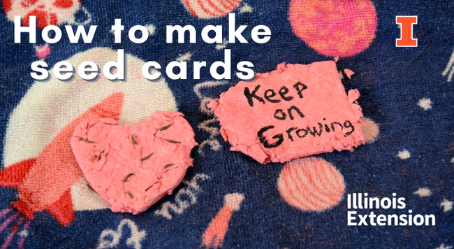pink seed cards made for Valentine's Day