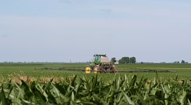 tractor sprayer in corn field