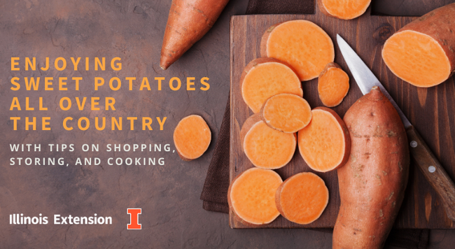 Enjoying Sweet Potatoes All Over the Country