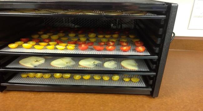 Horizontal dehydrator with trays of drying apples and tomatoes
