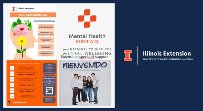 Picture with programs in Mental Health offered by IHD