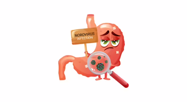 A cartoon image of a sad stomach with Norovirus infection