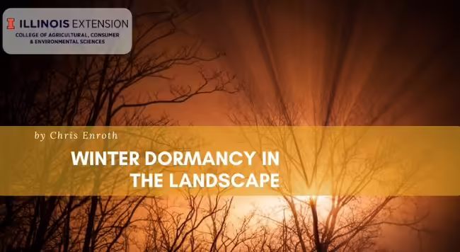 Winter Dormancy