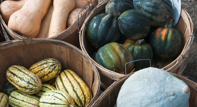 Wood baskets filled with delicate, acorn, and butternut squashes