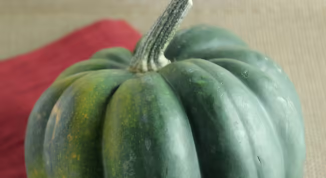 squash