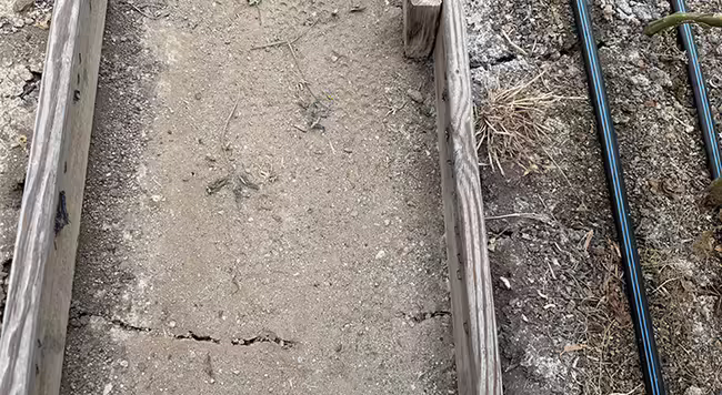 cracks in bare soil inside and between raised beds inside high tunnel