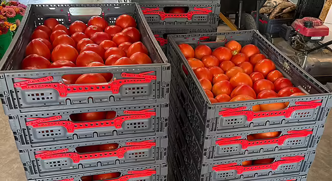 gray plastic container stacked on top of each other filled with red ripe tomatoes