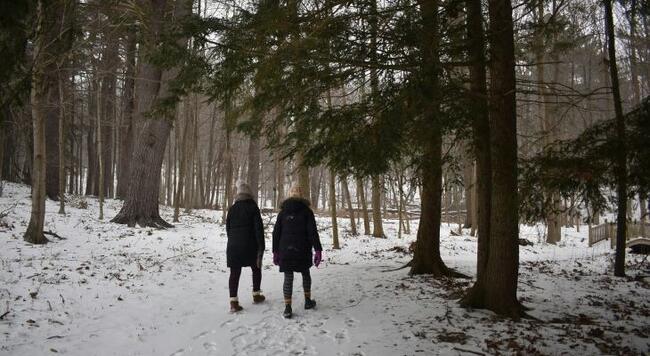 Two people walking together on a snowy trail.