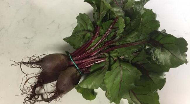 Fresh beets with leaves and stems on granite background