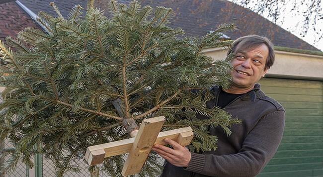 Man carrying out a bare Christmas tree ready for recycling