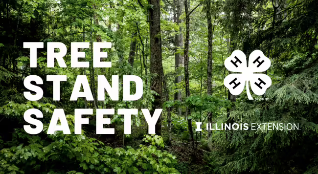 Tree Stand Safety