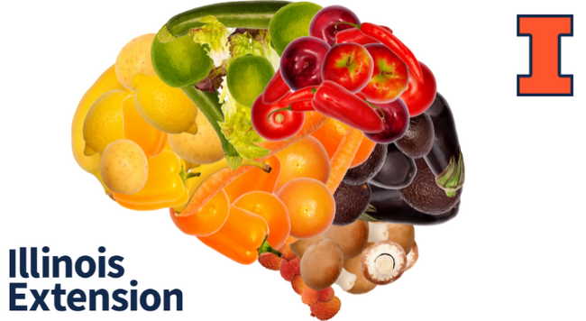 a brain made up of different healthy foods