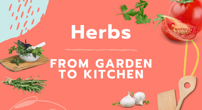variety of herbs, garlic, tomatoes and cooking utensils 