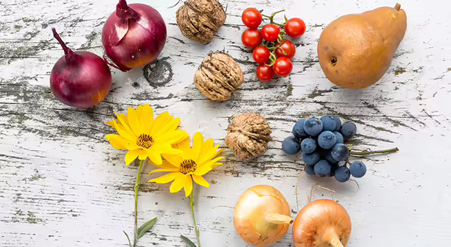 vegetables and flowers