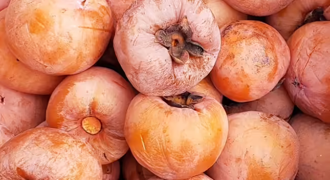 pile of ripe persimmon fruits close up